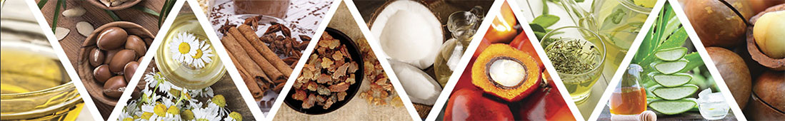 trivitt keratine oils